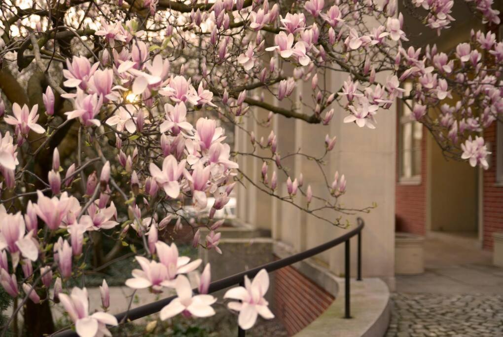 Elegant Apartment In The City Center Breslavia Esterno foto